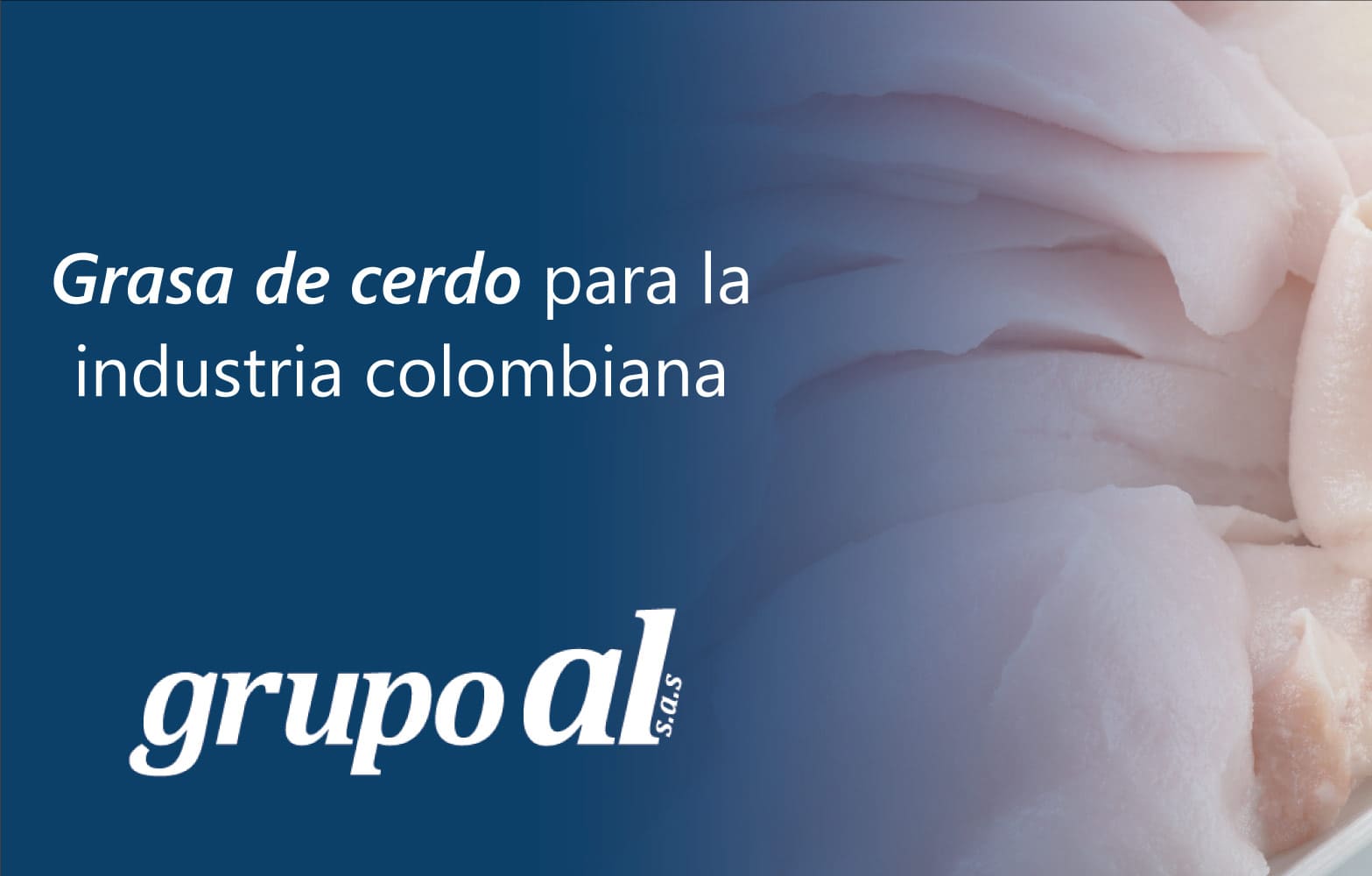 Grasa de cerdo: la materia prima ideal para aplicaciones industriales