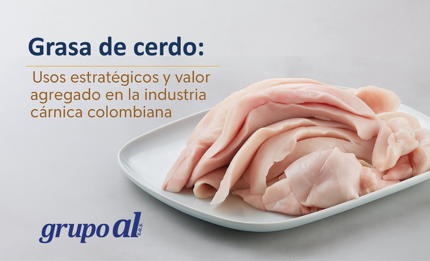 Grasa de cerdo para la industria cárnica - Grupo al